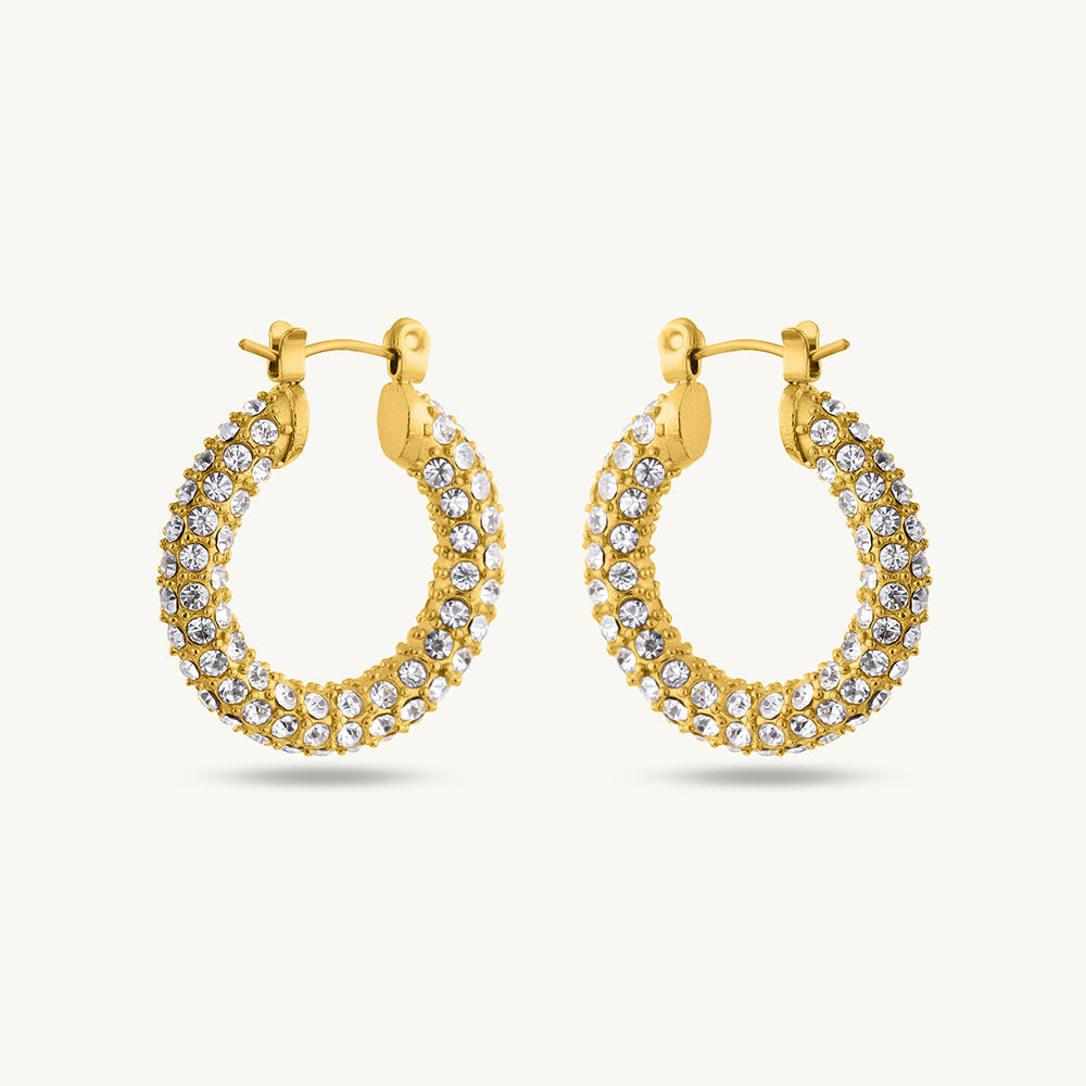 Diamond Studded Hoop Earrings