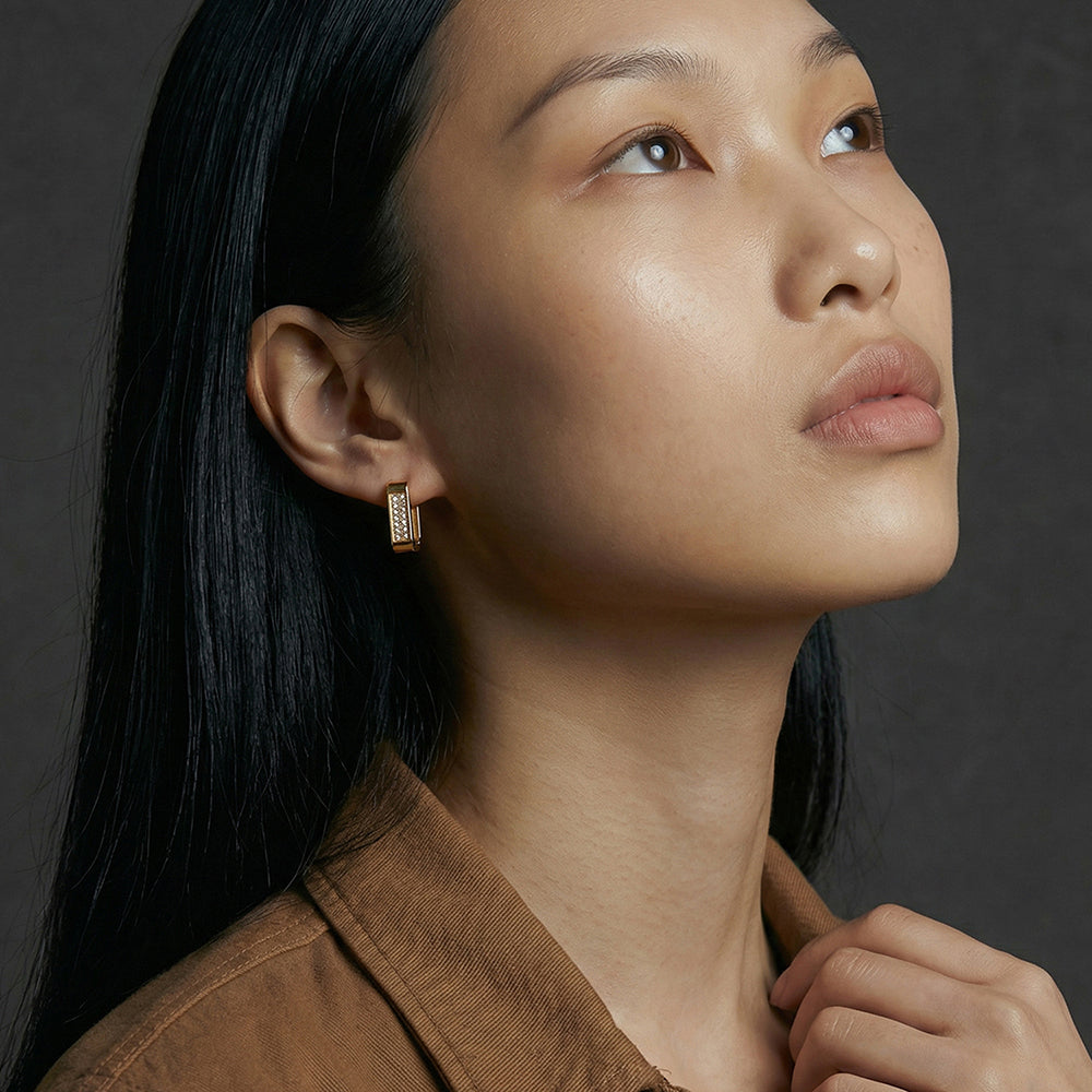 Crystal Frame Hoop Earrings